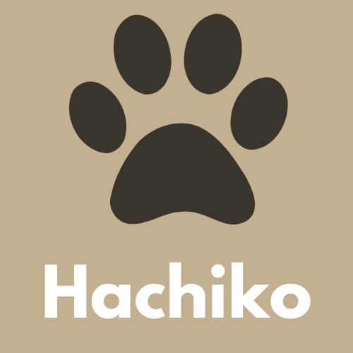 Hachiko