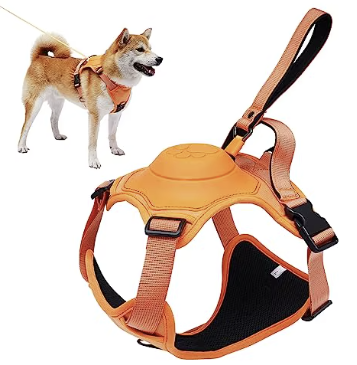 Hachiko™ Premium dog harness with integrated leash